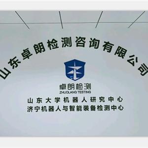 山東卓朗檢測咨詢 專業(yè)安全咨詢服務提供商
