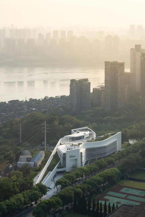 源道建筑力作 重慶三峽文物科技保護基地，頂超瞰科技守護千年文明